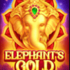 Elephant Gold