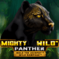 Mighty Wild Panther